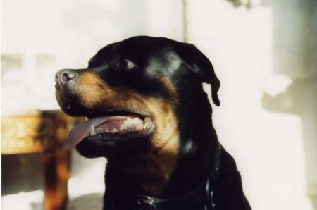 perssone fais le malin  devant lui